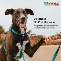 Harnais Wildebeest Valencia clip arrière pour promenades confortables