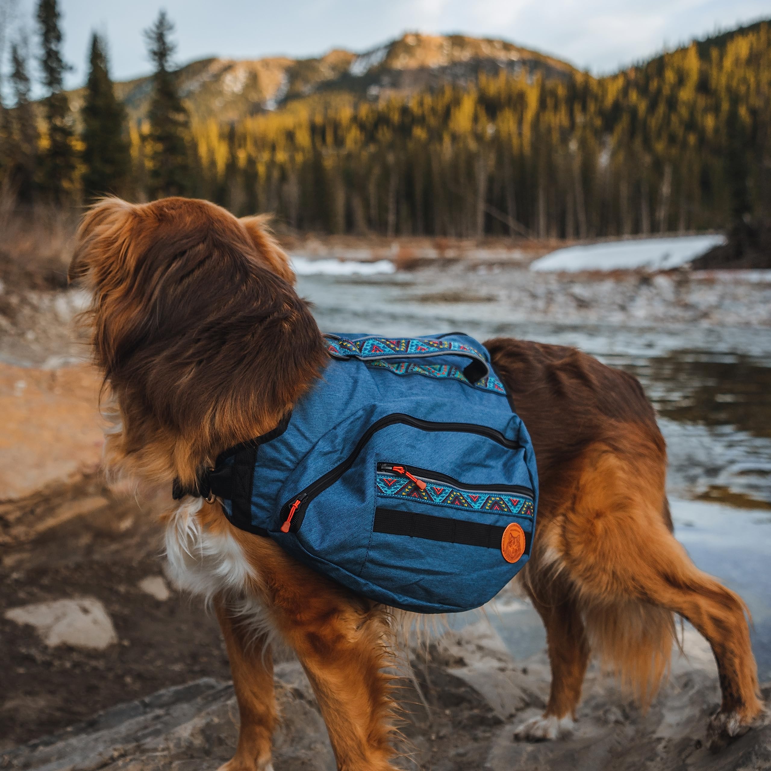 Boucles et sangles en webbing Wilderdog pour accessoires sécurisés
