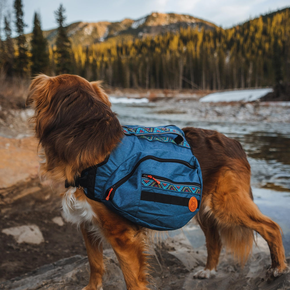 Boucles et sangles en webbing Wilderdog pour accessoires sécurisés