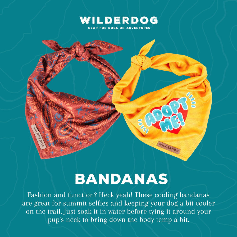 Bandana Wilderdog 18x18, taille pratique pour un chien moyen.