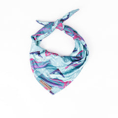 Bandana Wilderdog Alpenglow porté par un chien, aspect lumineux et confort durable en plein air.