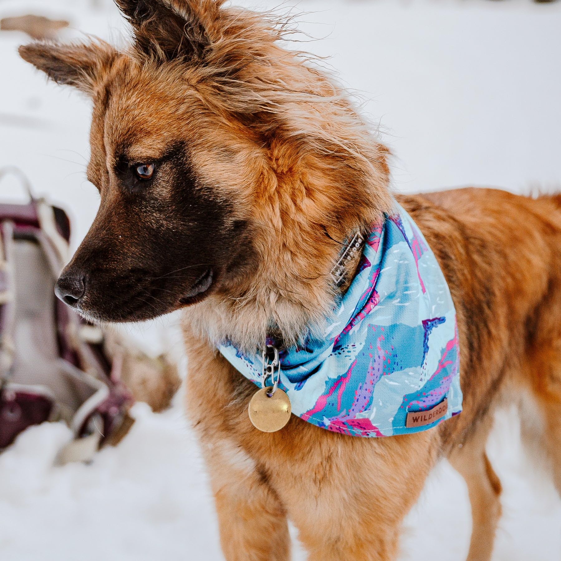 Bandana Wilderdog garantie à vie, tranquillité d’esprit sur la durabilité.