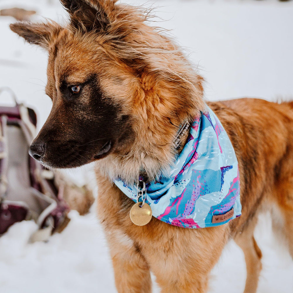 Bandana Wilderdog garantie à vie, tranquillité d’esprit sur la durabilité.