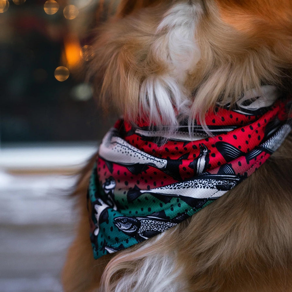 Garantie à vie Wilderdog pour ce bandana.