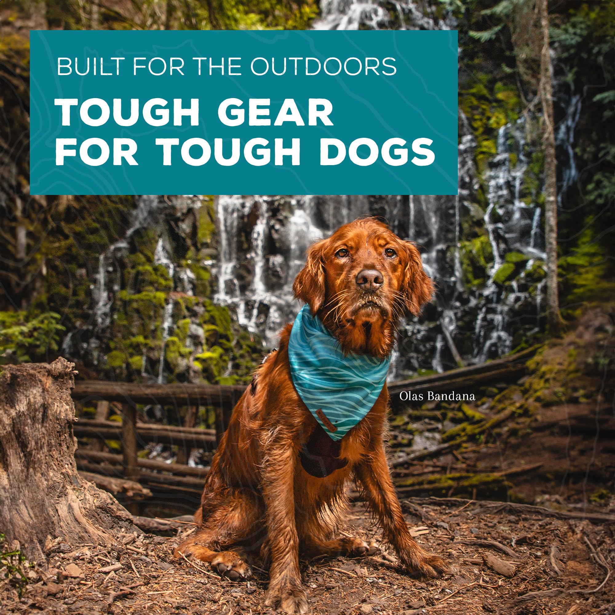 Bandana Wilderdog profil chien olive, texture douce et look chic.