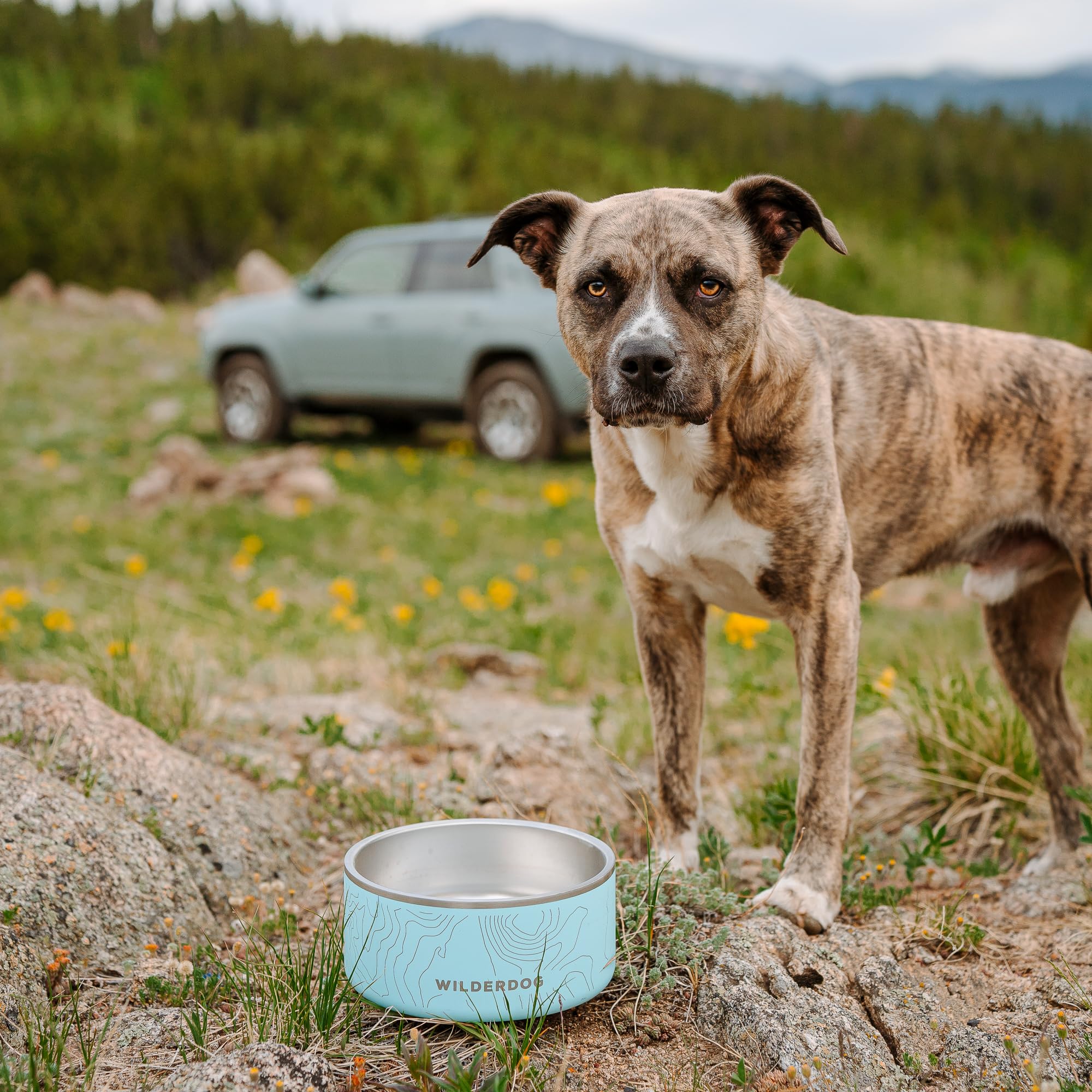 Conception robuste Wilderdog, idéale pour chiens actifs.