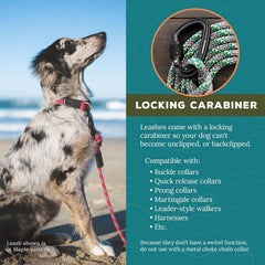 Corde tissée 5/16 pouce Wilderdog pour résistance fiable.