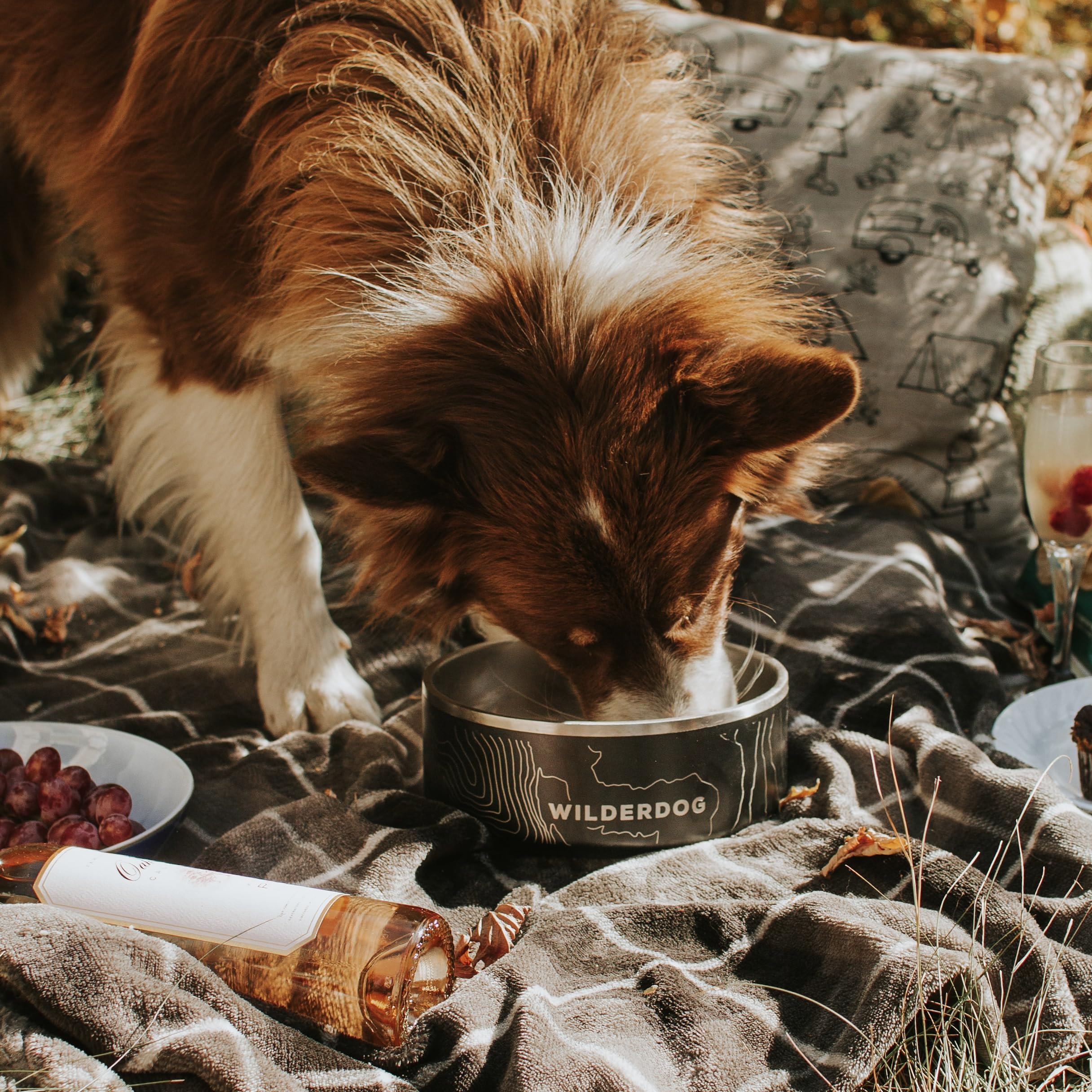 Emballage Wilderdog robuste facilitant le transport et le rangement.