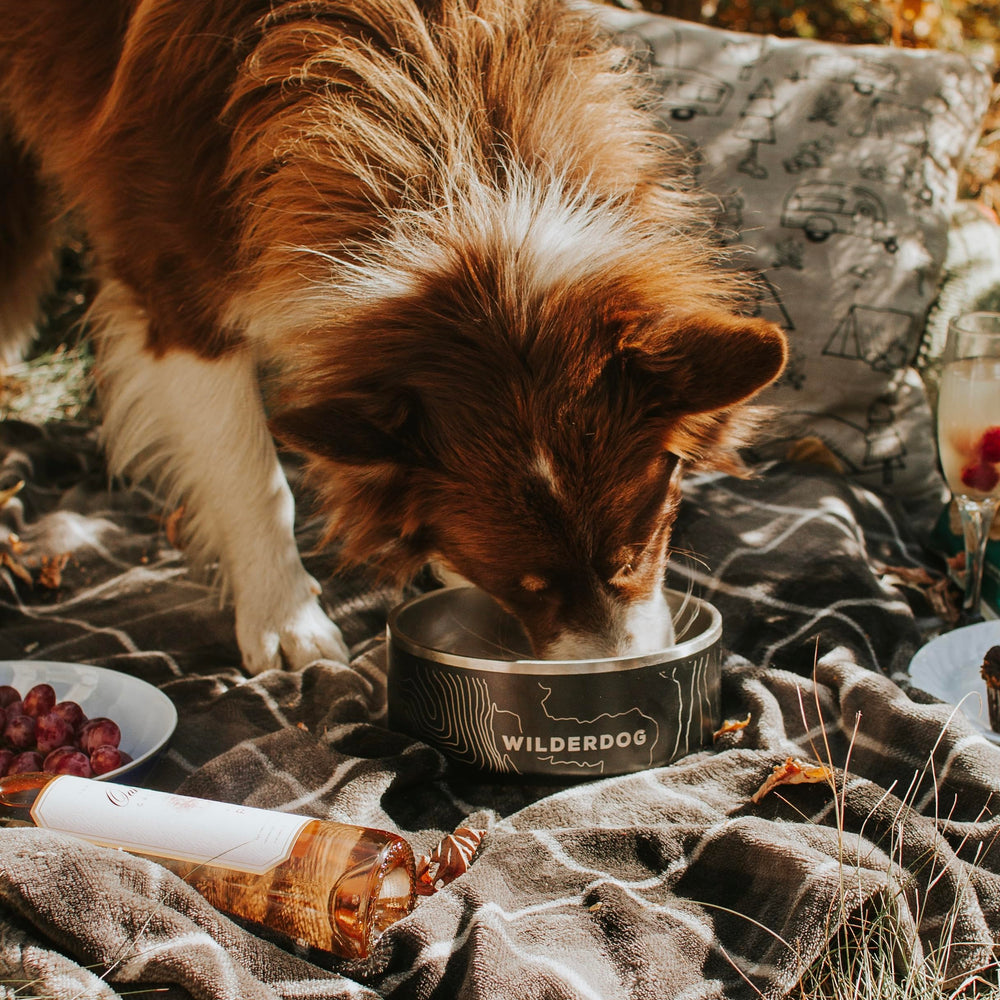 Emballage Wilderdog robuste facilitant le transport et le rangement.