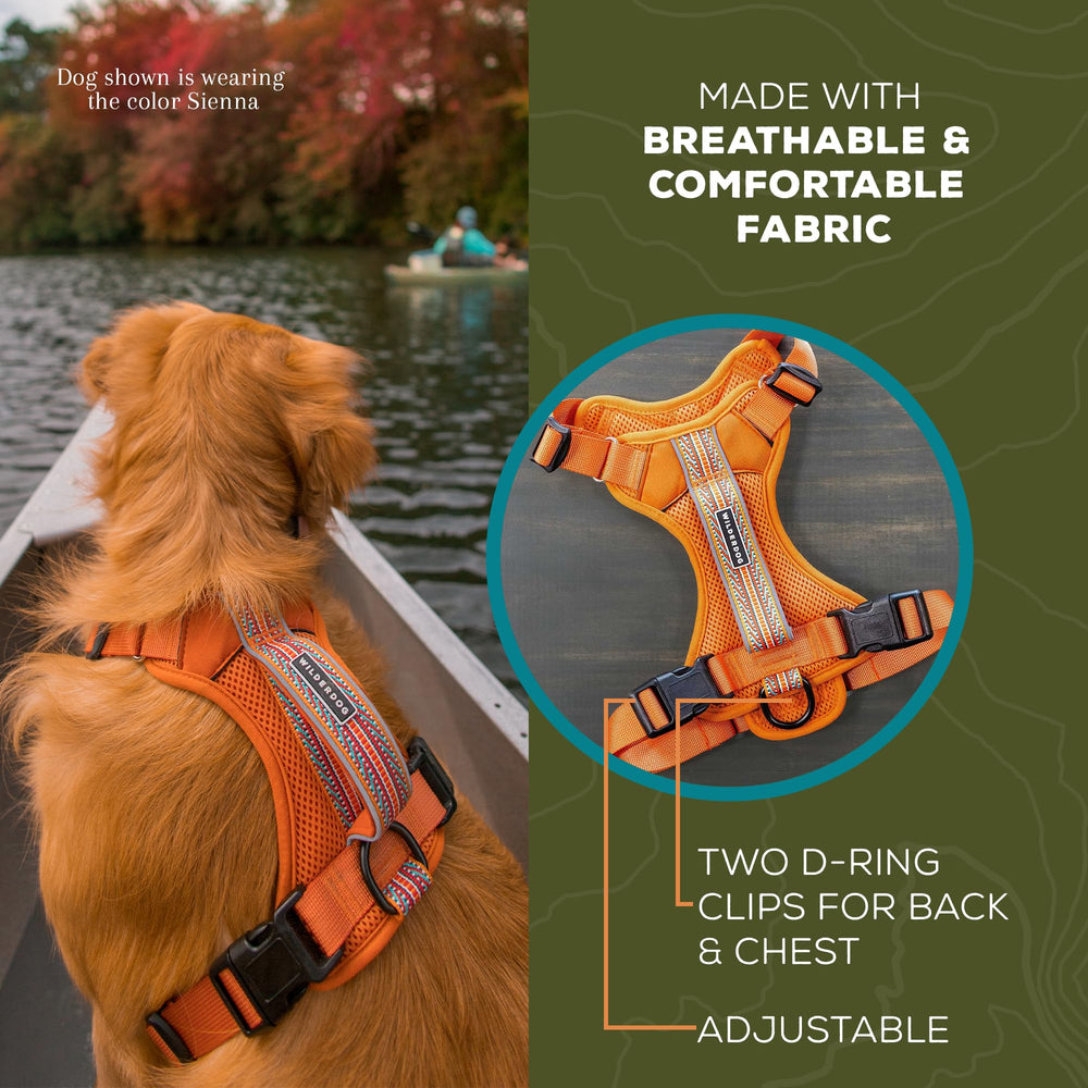 Anneaux D et poitrine Wilderdog pour attache sécurisée et polyvalente.