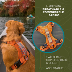 Anneaux D et poitrine Wilderdog pour attache sécurisée et polyvalente.
