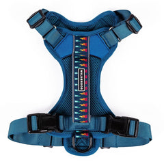 Harnais Wilderdog léger bleu pacifique, idéal pour promenades quotidiennes et confort.
