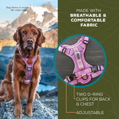 Harnais Wilderdog poignée haute, aide et sécurité sur les obstacles