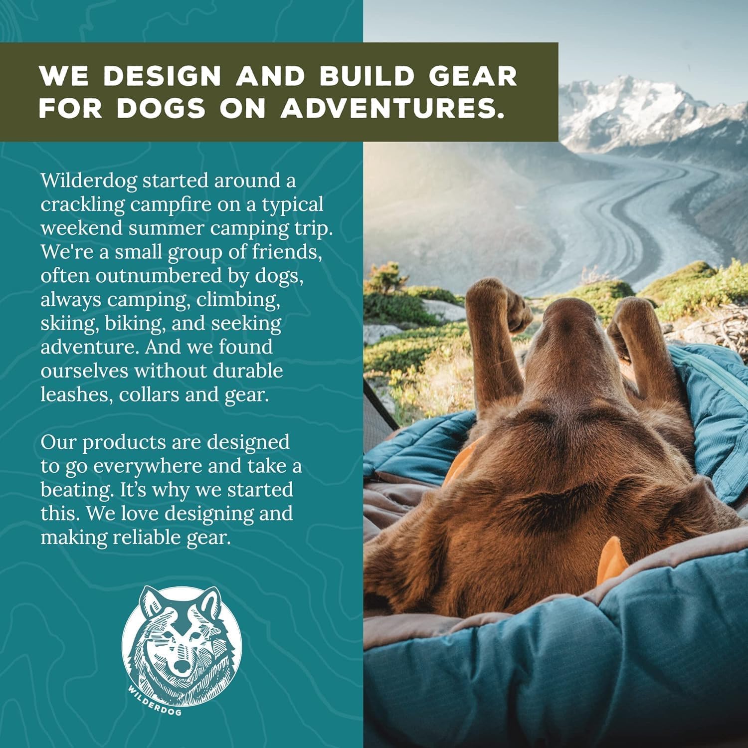 Utilisation polyvalente du harnais Wilderdog lors de randonnées et activités en plein air.