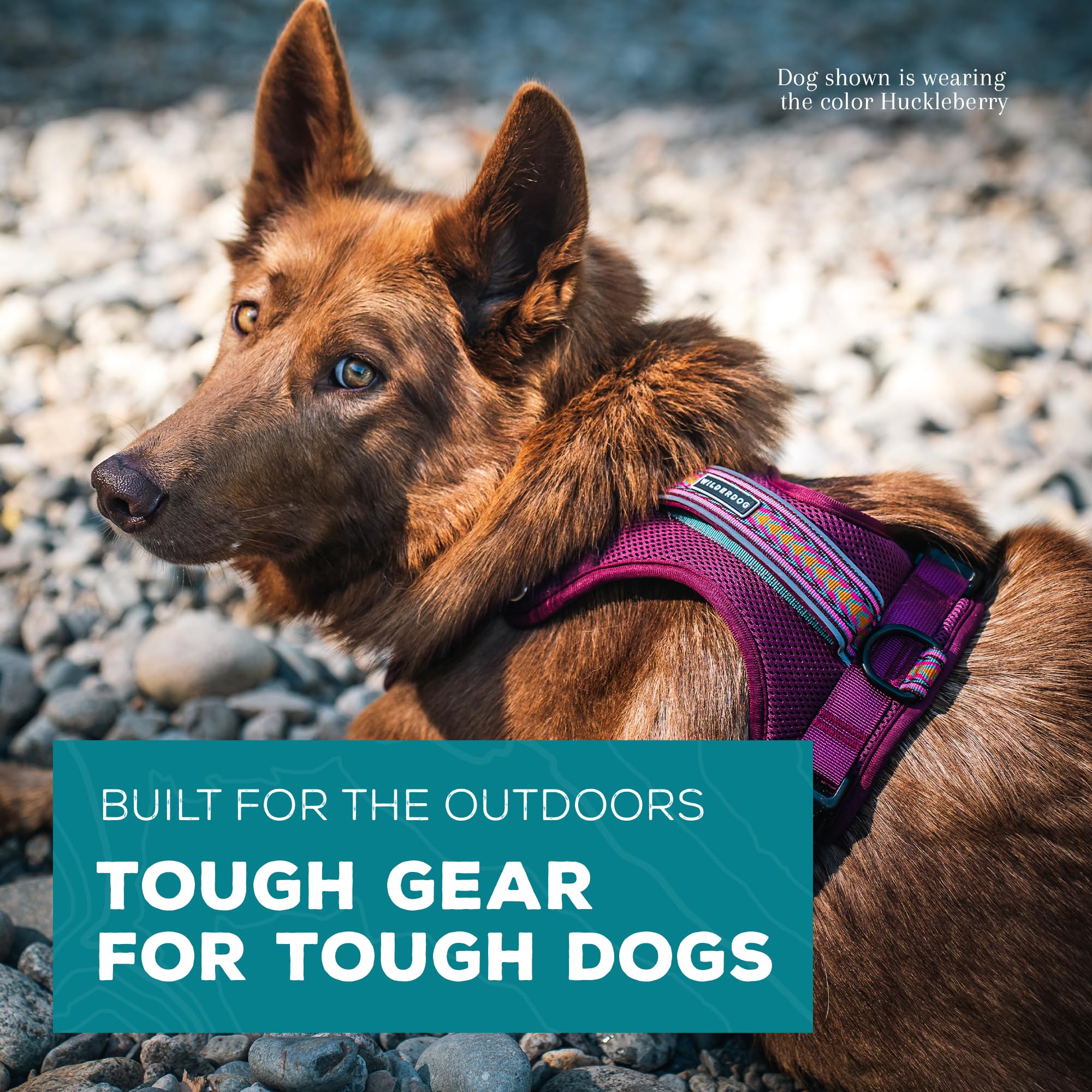 Wilderdog harnais léger avec boucles latérales et sangles ajustables