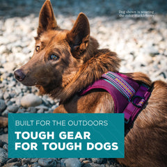 Wilderdog harnais léger avec boucles latérales et sangles ajustables