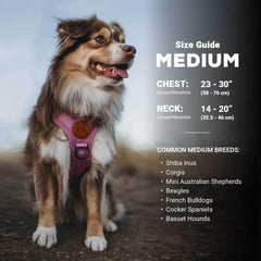 Wilderdog harnais réfléchissant avec poignée supérieure pour assistance