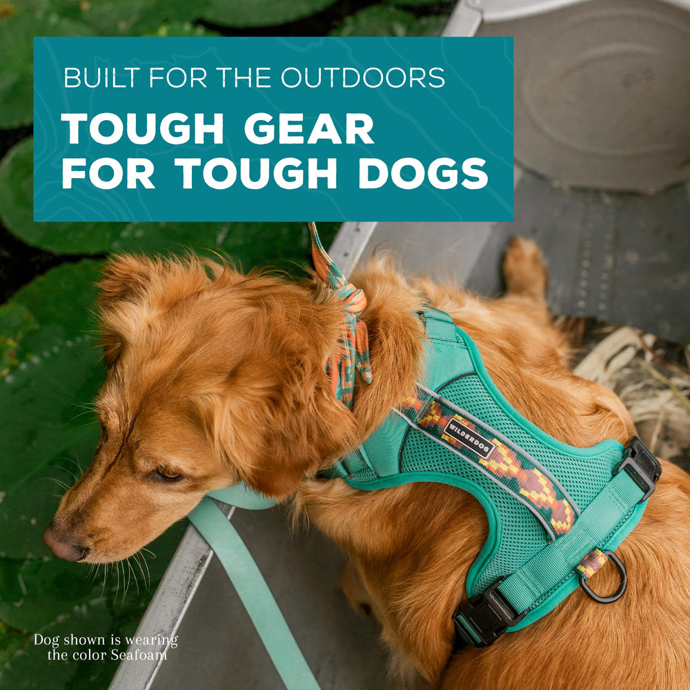 Anneau dos Wilderdog, seconde option d’attache pour la course et la marche.