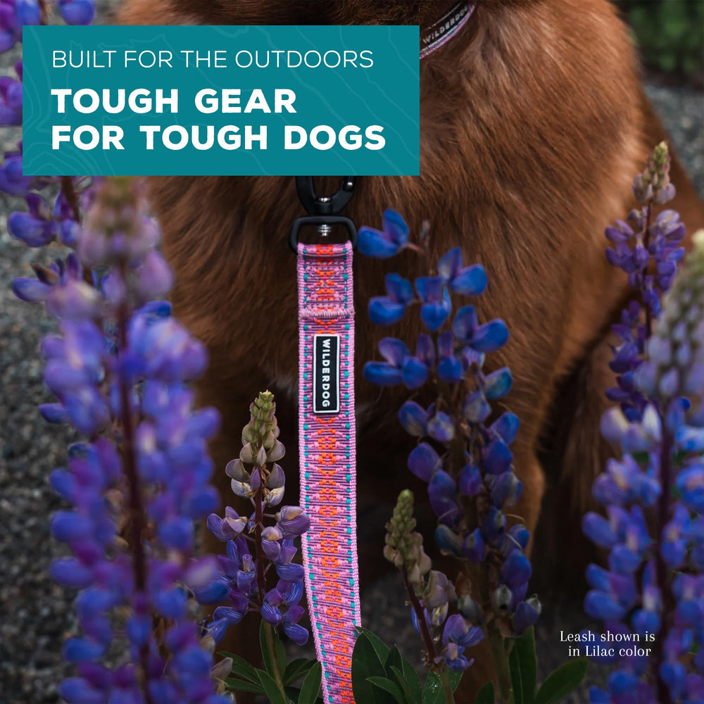Laisse Wilderdog Ultralight couleur lilas, idéale pour repérer rapidement lors des sorties.