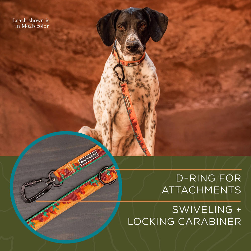Carabine pivotante en action sur la laisse Wilderdog Ultralight Moab pour plus de flexibilité.