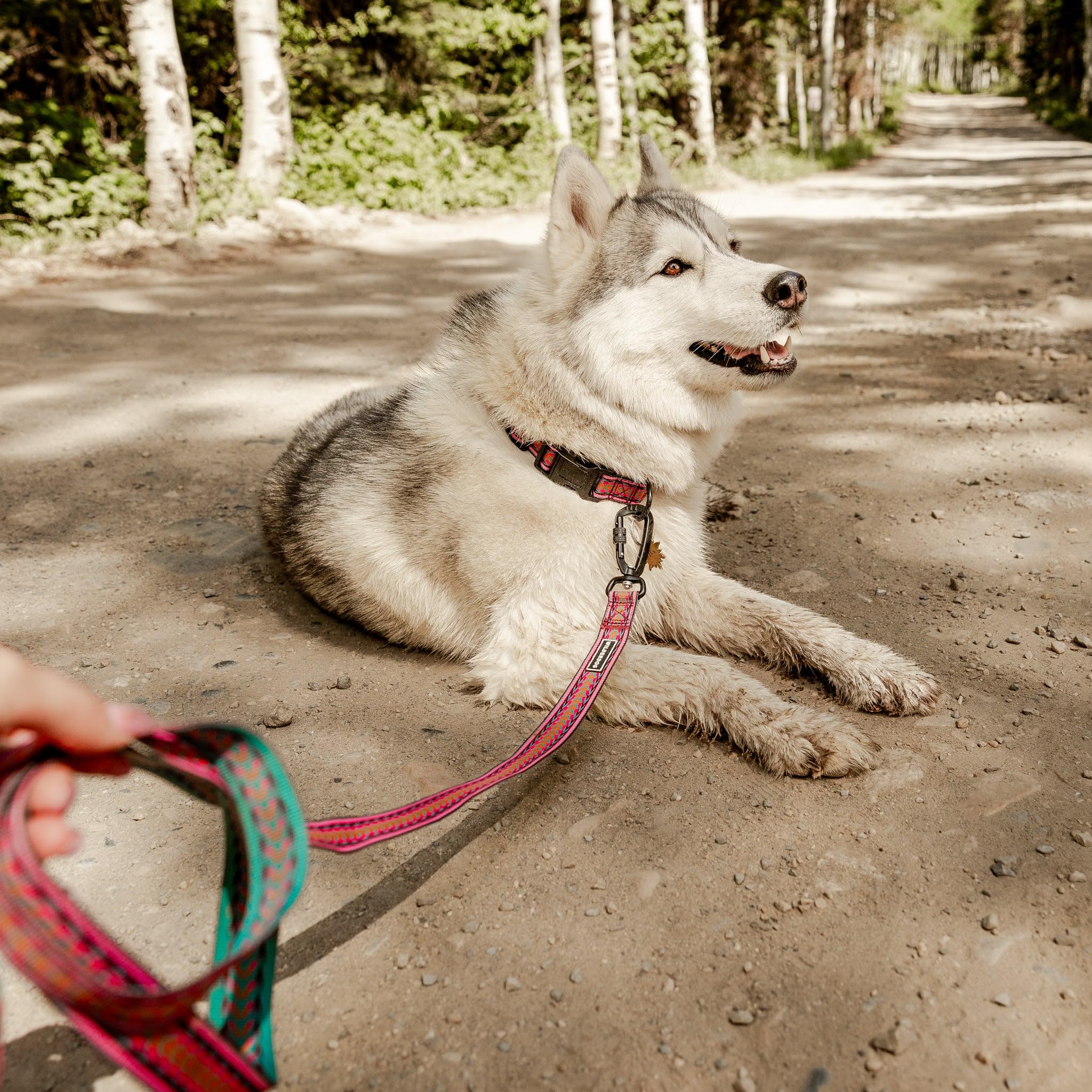 Wilderdog Ultralight: sécurité et confort lors des promenades et jeux.