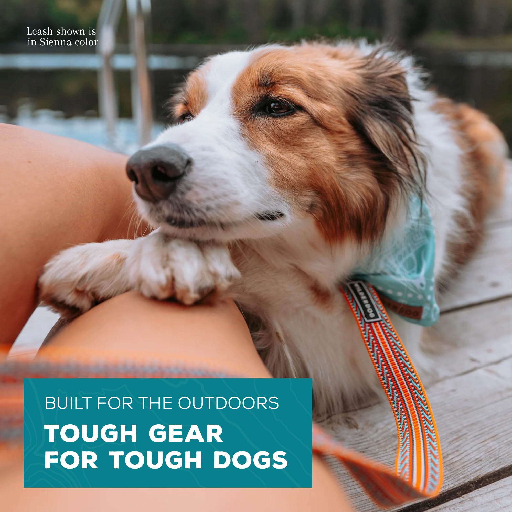 Caractéristiques Ultralight Wilderdog poids léger et sécurité lors des sorties