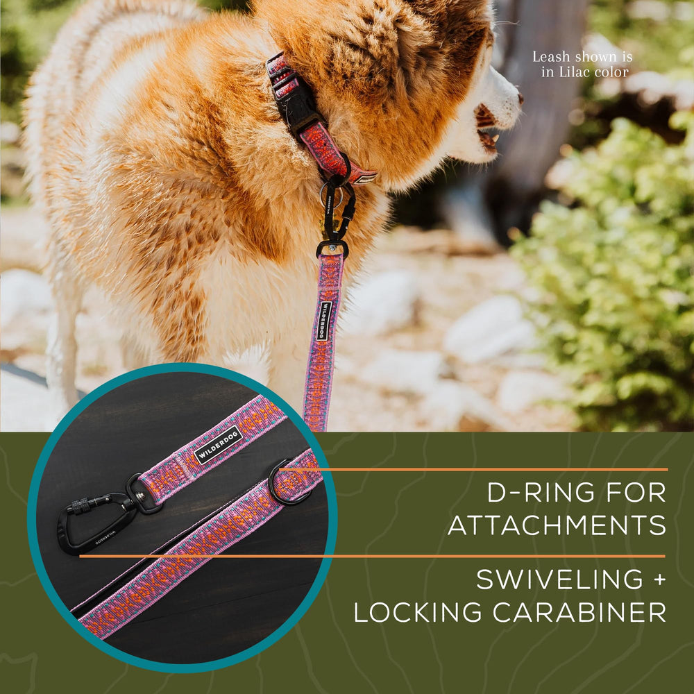 Poids léger Wilderdog Ultralight de 3,75 onces pour balades confortables.