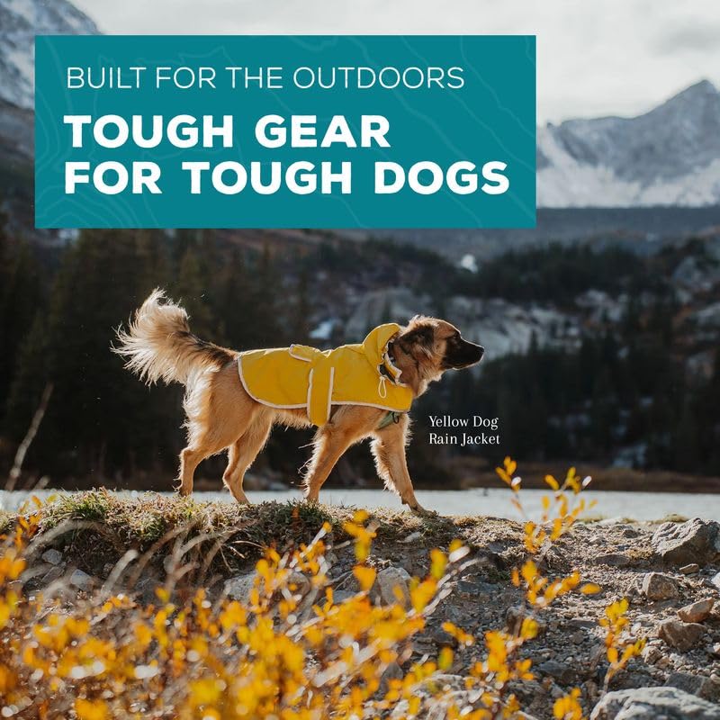 Guide des tailles Wilderdog pour choisir le bon ajustement
