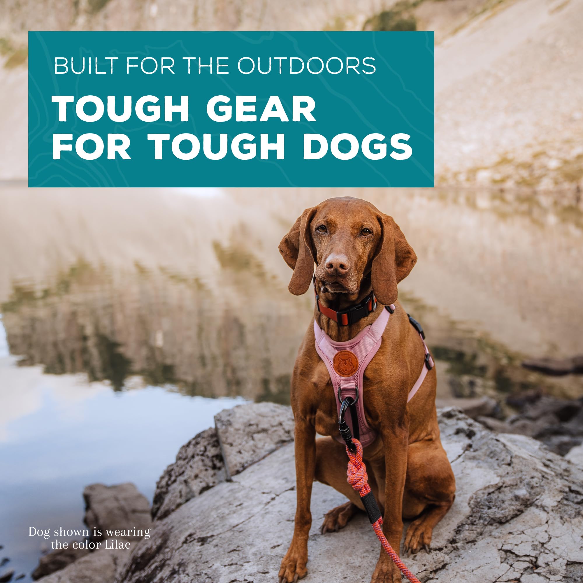 Poignée supérieure Wilderdog pratique pour aider votre chien sur les obstacles.
