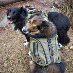 Wilderdog points d'attache renforcés pour mousquetons, gamelles et autres accessoires.