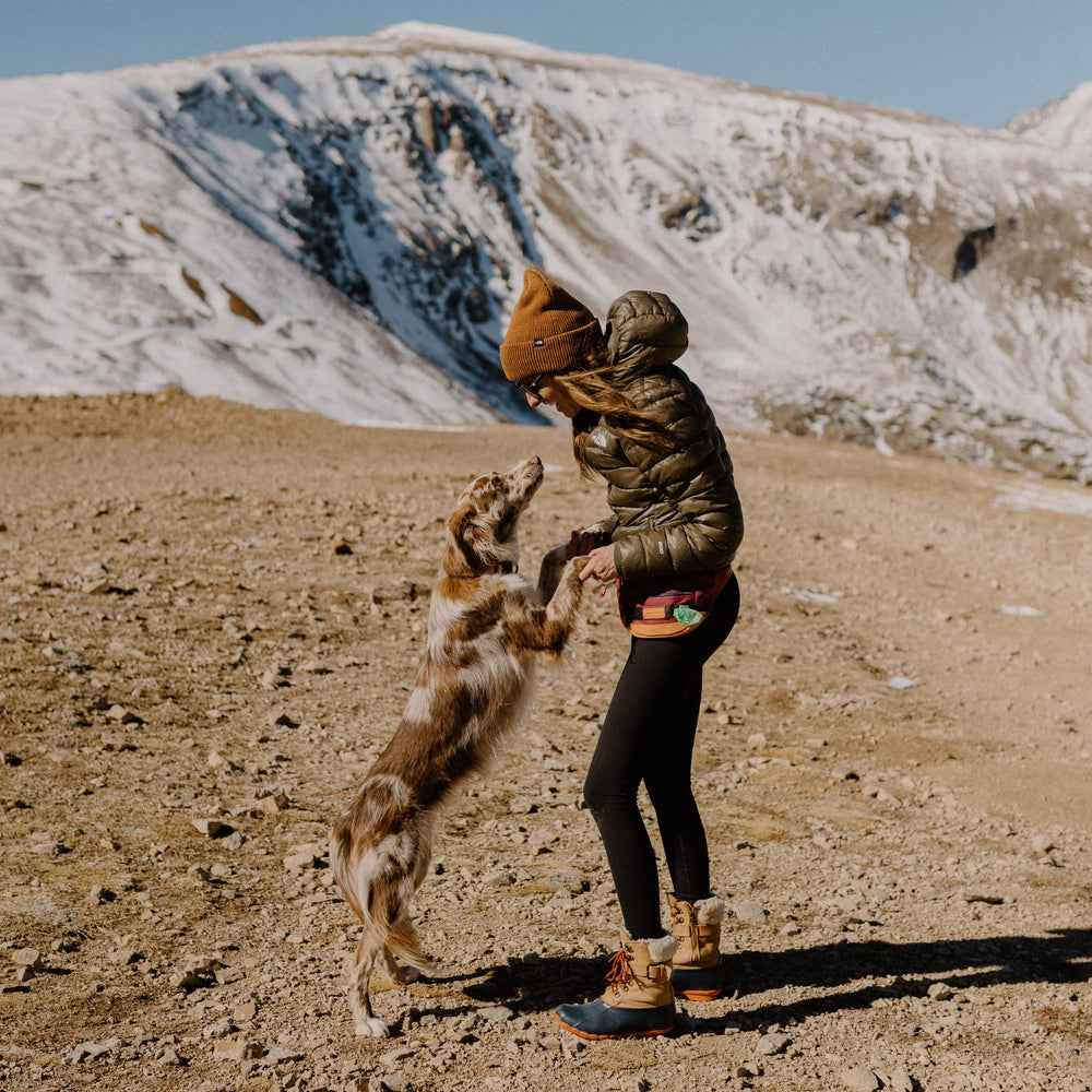 Distributeur à sacs poubelle intégré Wilderdog, rouleau standard compatible.
