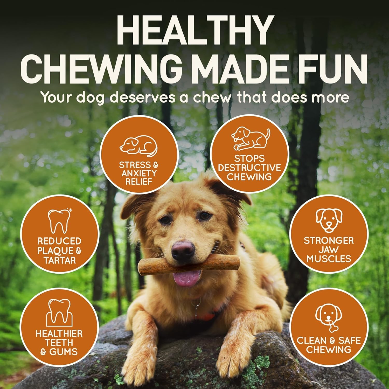 Wildfang baton bois cafe stimulation mentale : occupe et apaise pendant les absences.