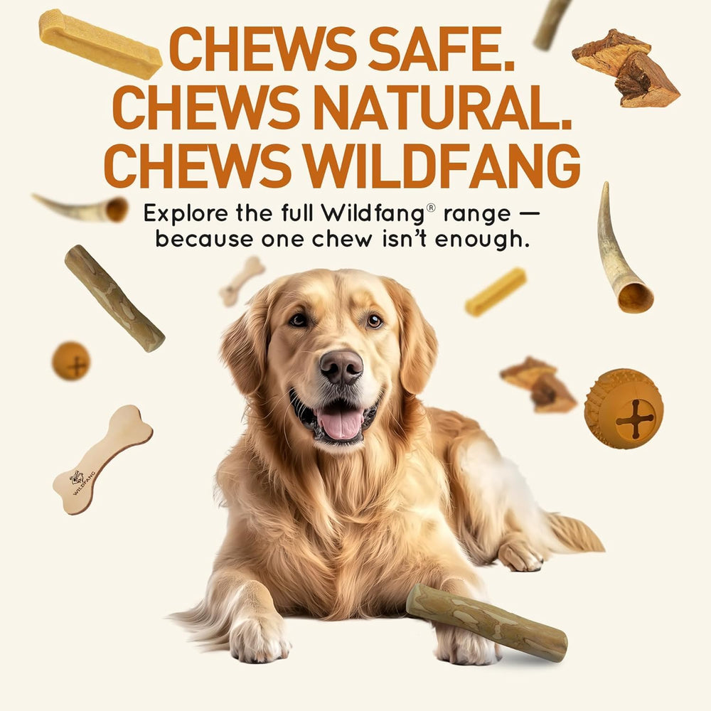 Wildfang baton bois cafe taille adapte : conseils pour grands chiens 55-99 lb.