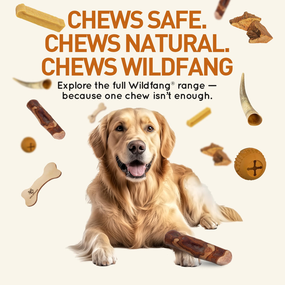 Wildfang baton confort anxiete bois Olivier chien grand, peut apaiser lors des absences.