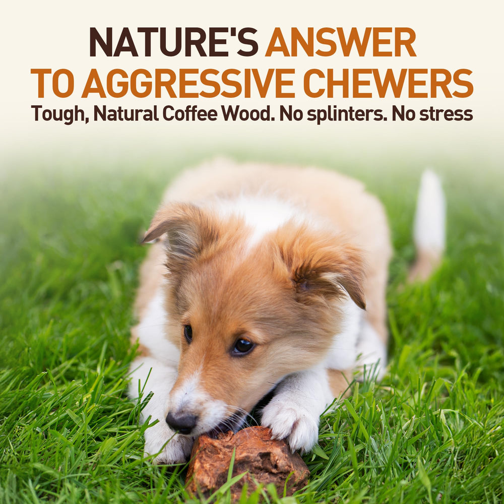Chiot en action, mâchant le jouet Briar en bois Wildfang