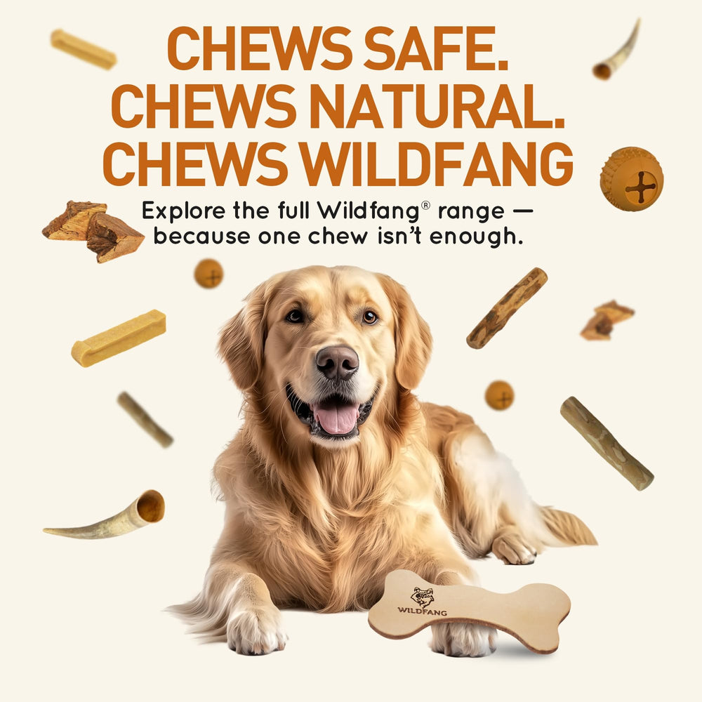 Wildfang os-cuir-dentition-senior – soutien pour les chiens âgés lors de la mastication