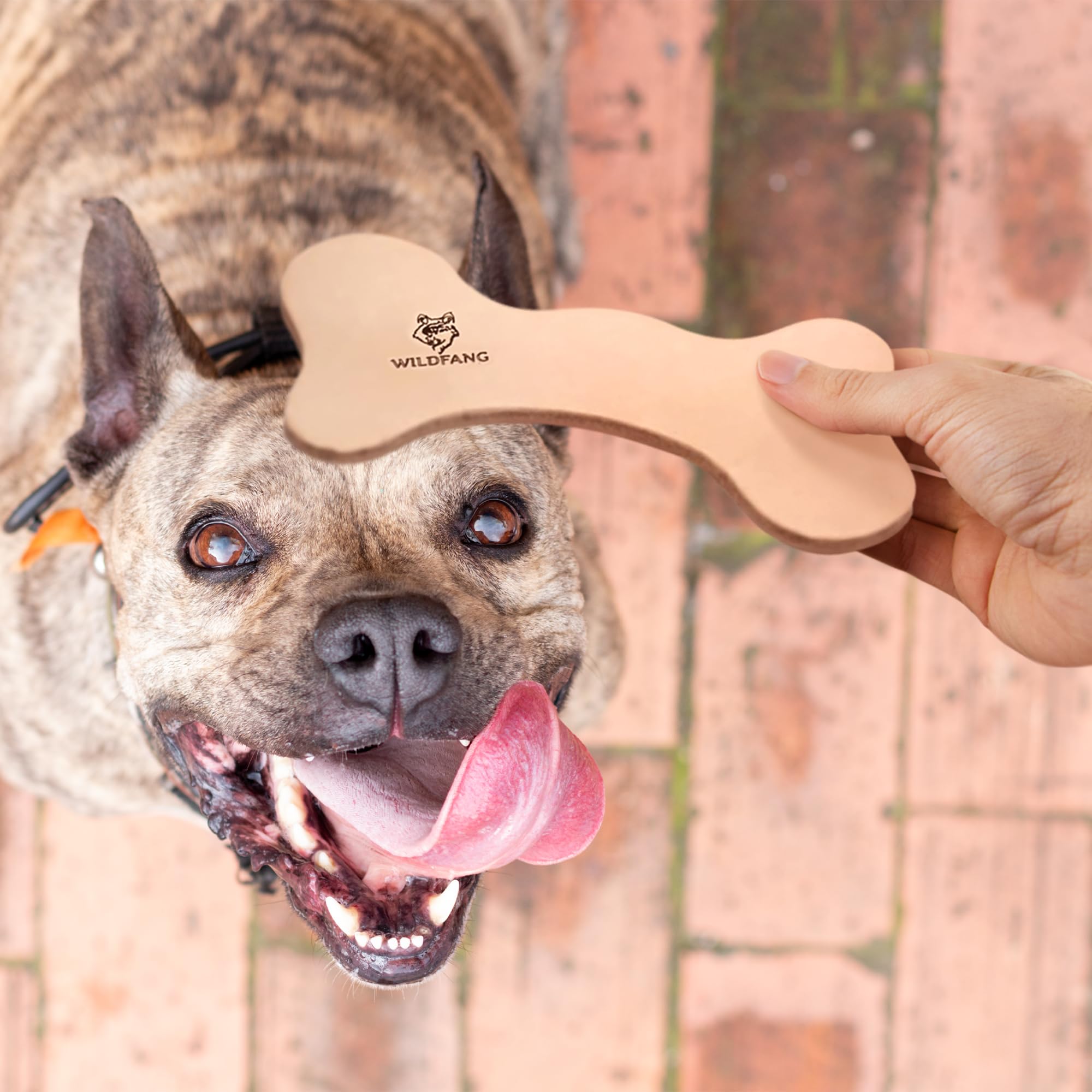 Wildfang os-cuir-non-toxique-durable – matériau durable et sûr pour chiens