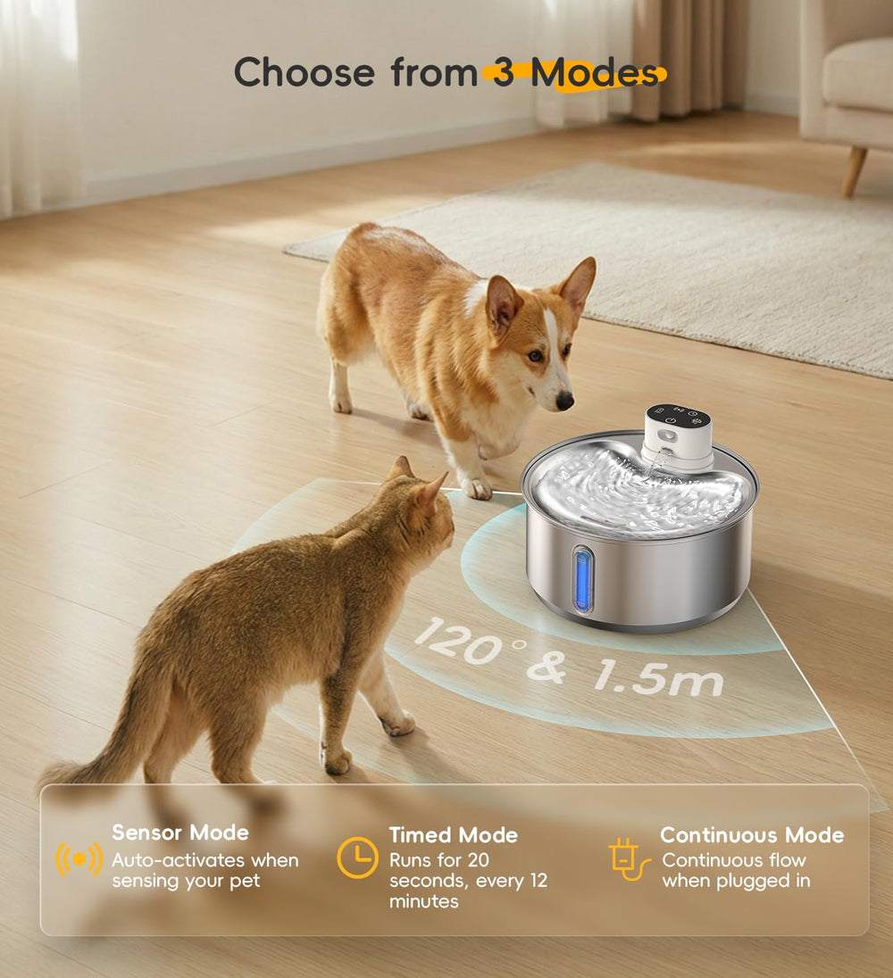 Débit automatique de 15 secondes Wilkiee incitant les chats à boire.