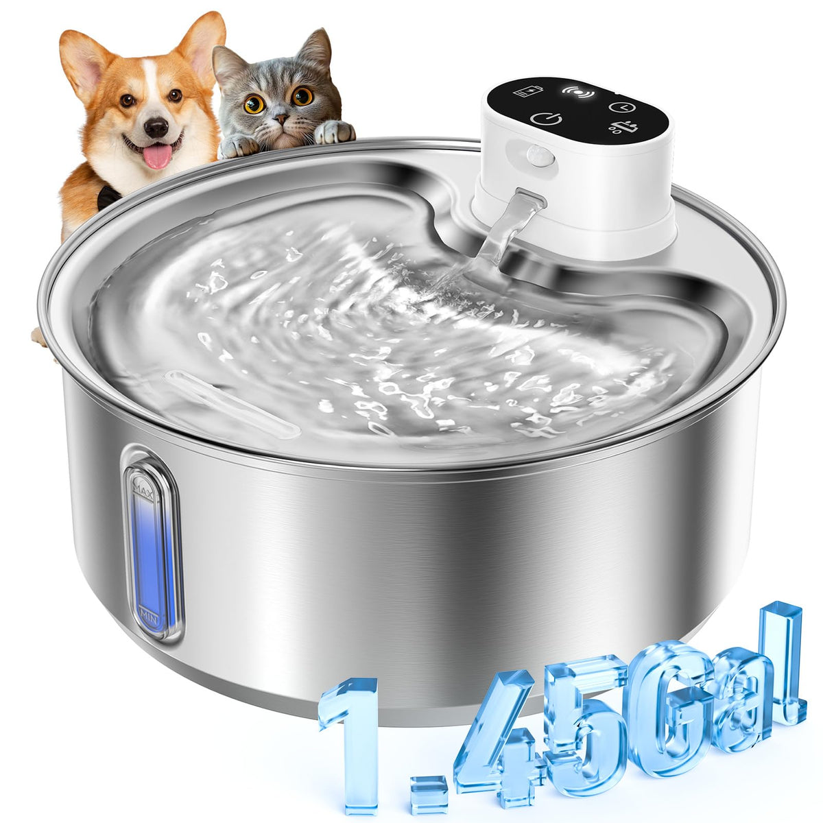 Fontaine Wilkiee pour chat en inox 304, hydratation hygiénique.