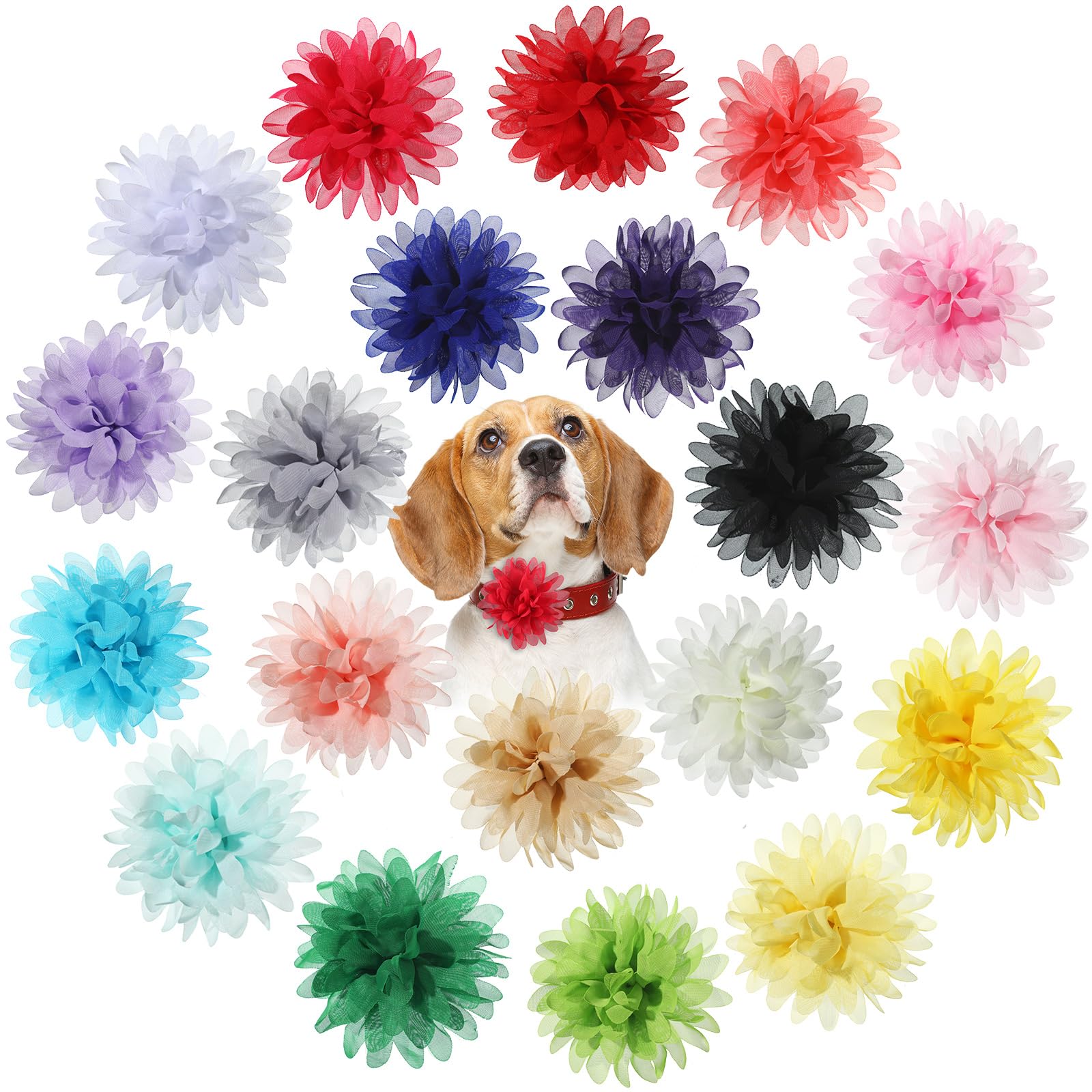 Willbond fleurs collier chien arc-en-ciel: look festif et élégant.