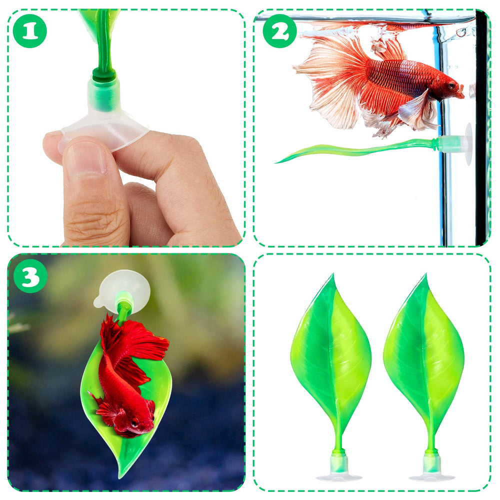 WILLBOND hamac-feuille-betta vert – repos près de la surface pour betta.