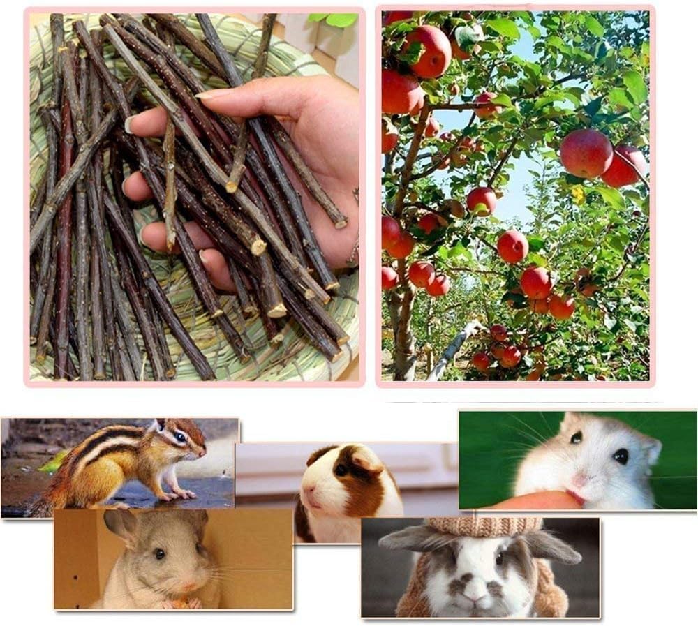 Bâtons à mâcher petites tailles, adaptés pour dents des petits animaux.