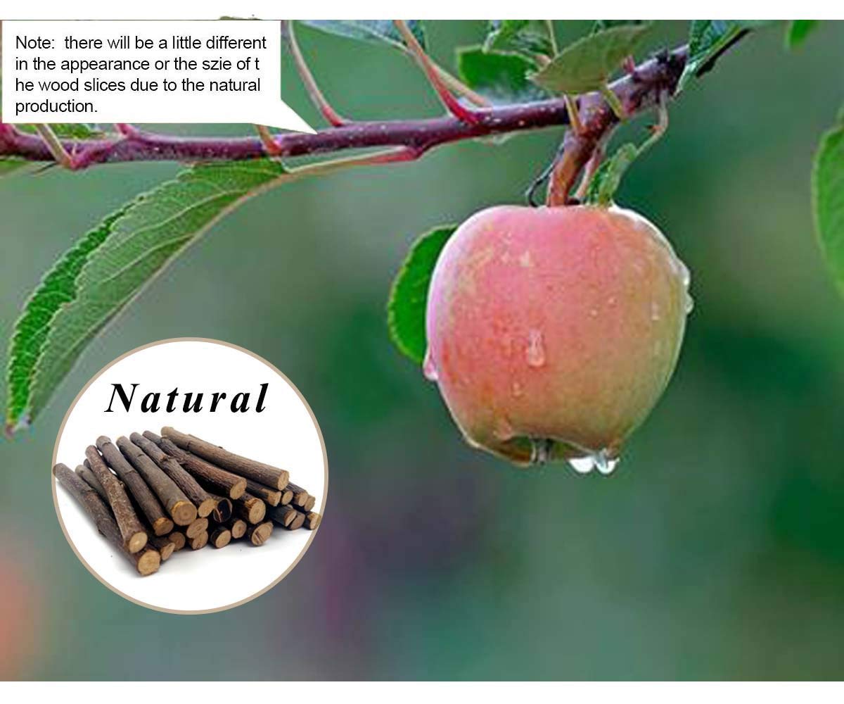 William Craft branche-pomme naturelle, sans pesticides et sûre pour eux.