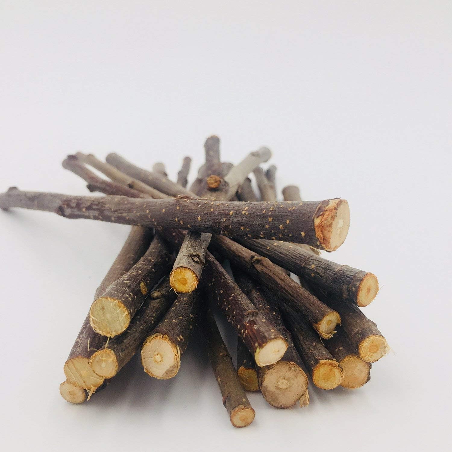 Branches pomme naturelles sans pesticides, sûres et naturelles pour rongeurs.