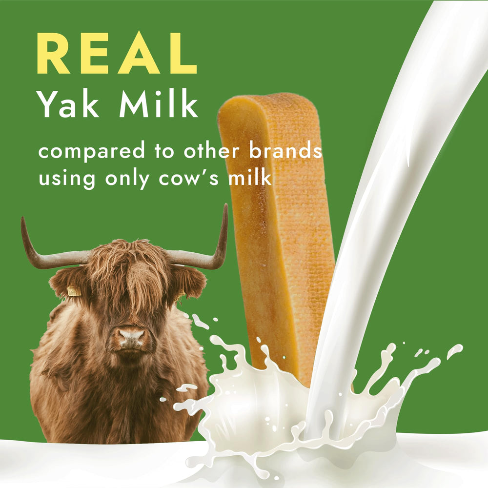 Morceau épais fromage yak, parfait pour mastiquer quotidiennement