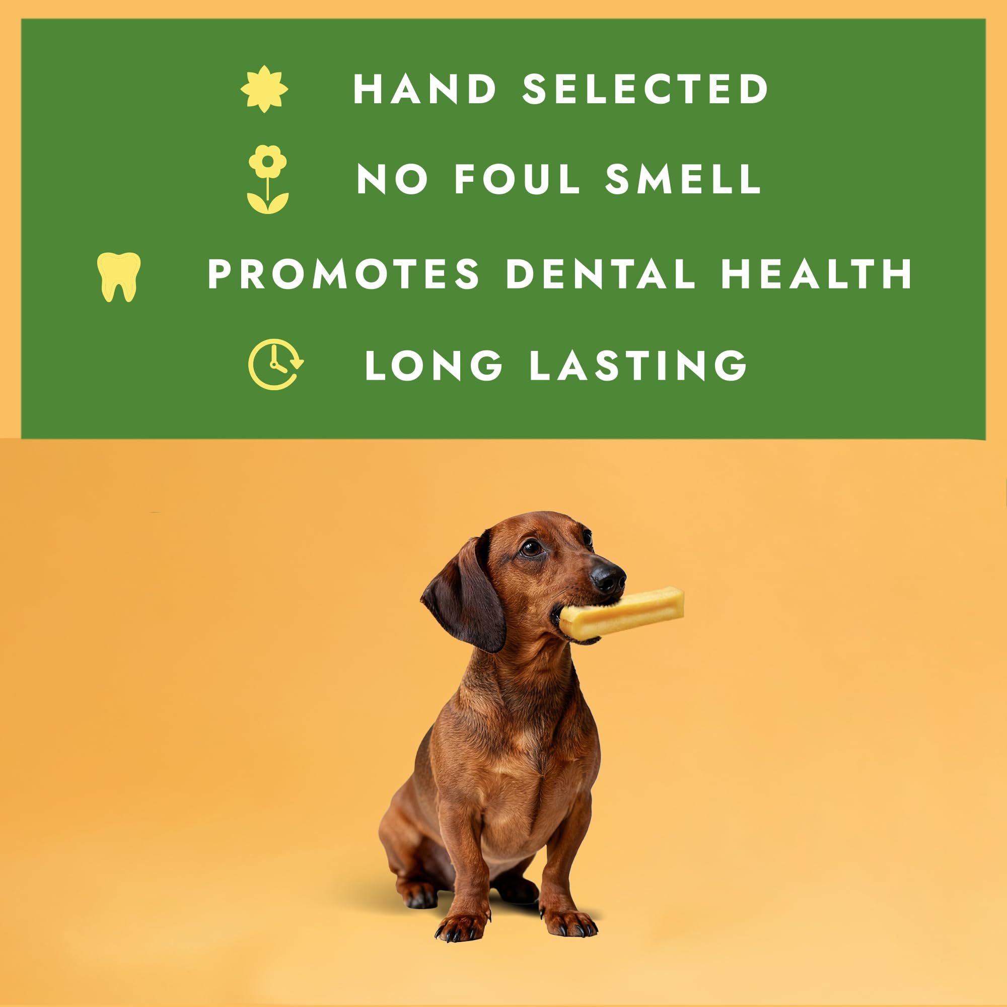 Bâton riche en protéines pour chien actif