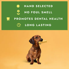 Bâton riche en protéines pour chien actif