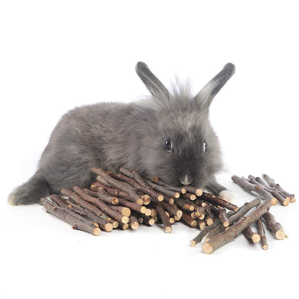 Bâtons-pomme William Craft: divertissement naturel pour lapins, cobayes et chinchillas.