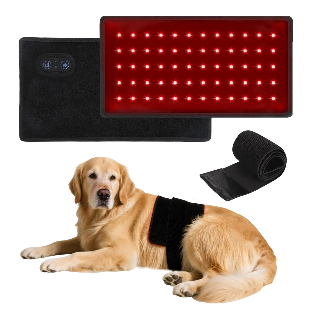 Wind in Hand bande lumineuse rouge pour chiens sur le dos, confort potentiel et articulation soutenue