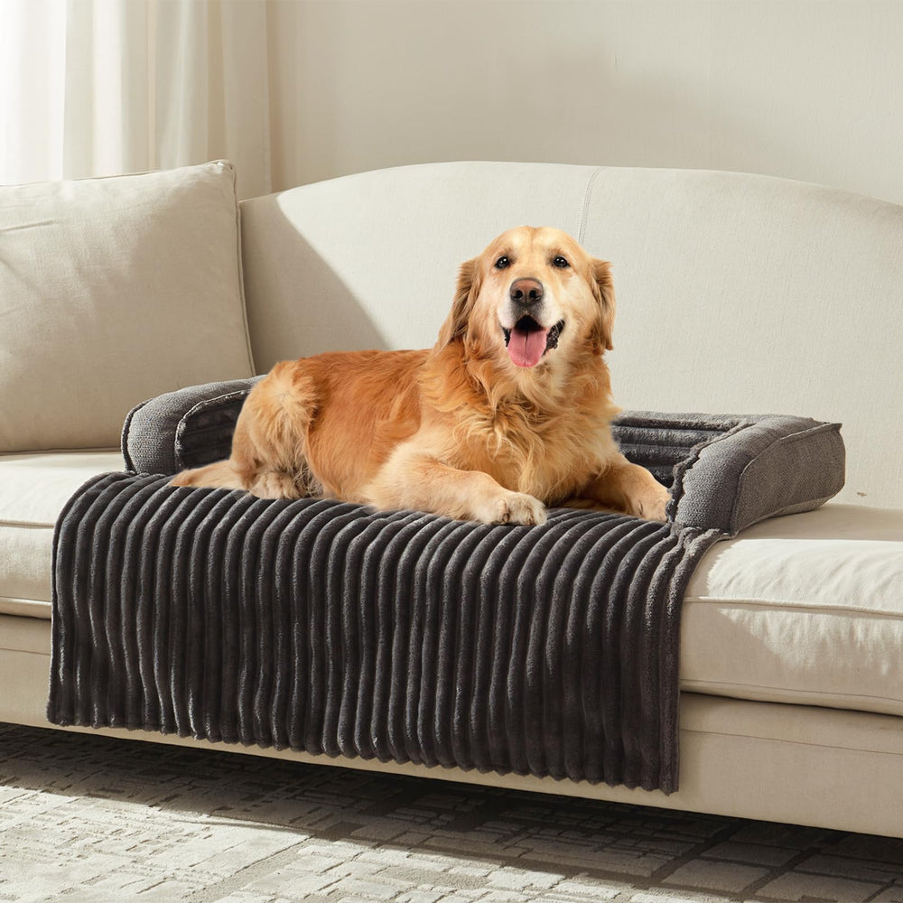 WindRacing Canape Chien Luxe Confort – repos apaisant pour votre compagnon